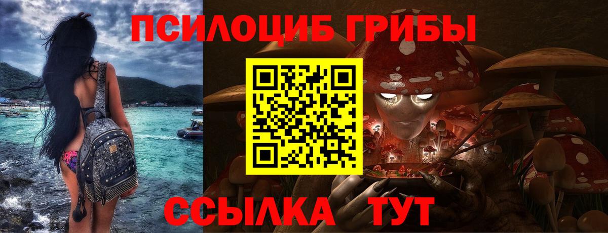 где найти   Вход с VPN  Алатырь  Галлюциногенные грибы ЛСД 